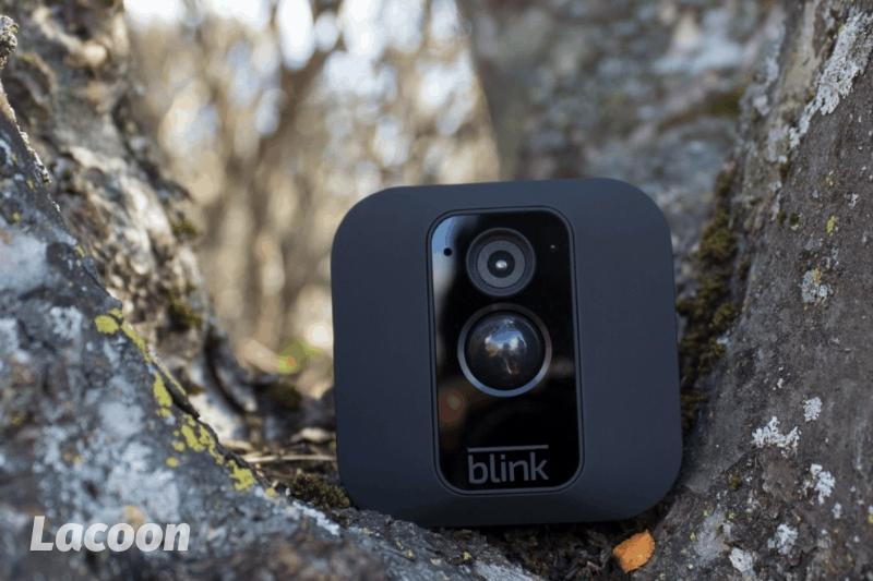 There Are Three Things You Should Consider when hidden trail cam