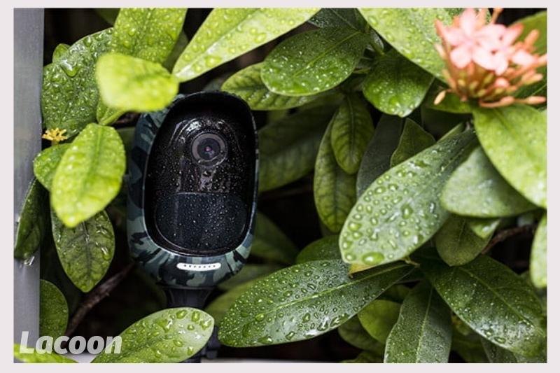 Hidden Trail Camera For Home Security