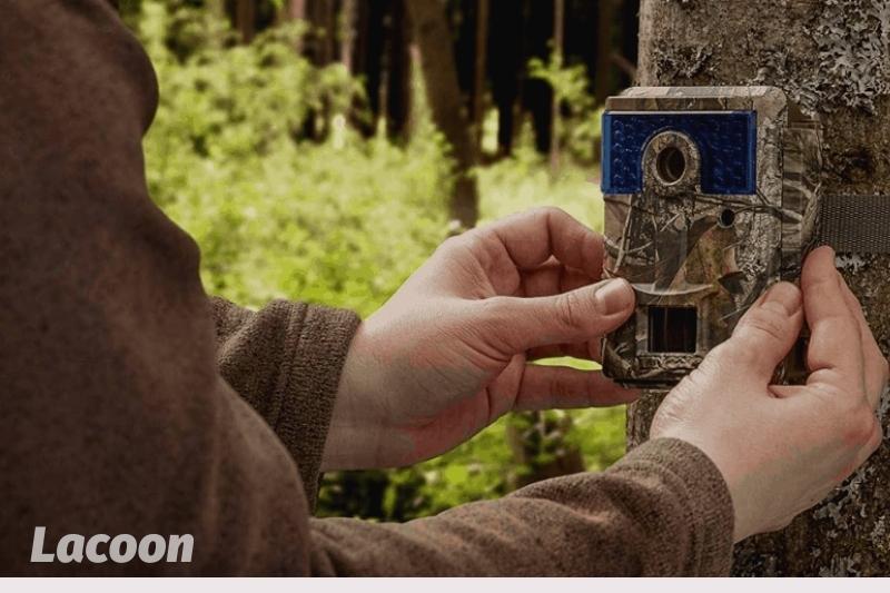 How to Use a Trail Camera for Security