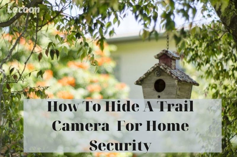 How To Hide A Trail CamFor Home Security 2022: Top Full Guide
