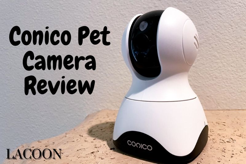 Conico Pet Camera Review 2022: Is It A Right Choice?