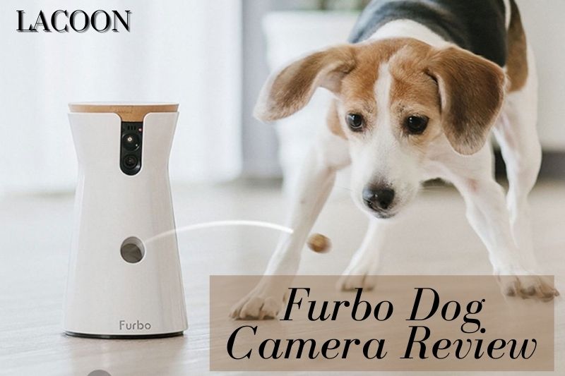 Furbo Dog Camera Review: Is It A Right Choice 2022?