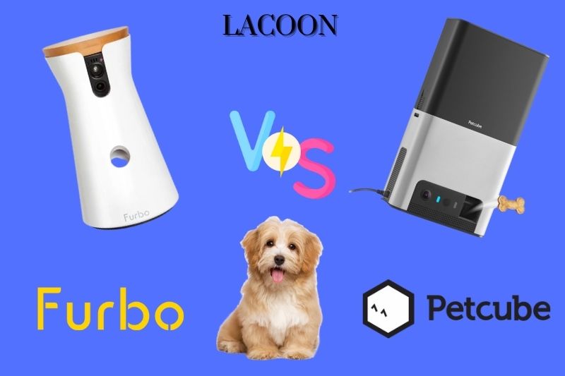 Furbo Vs Petcube 2022: Which Is Better For Your Pet?