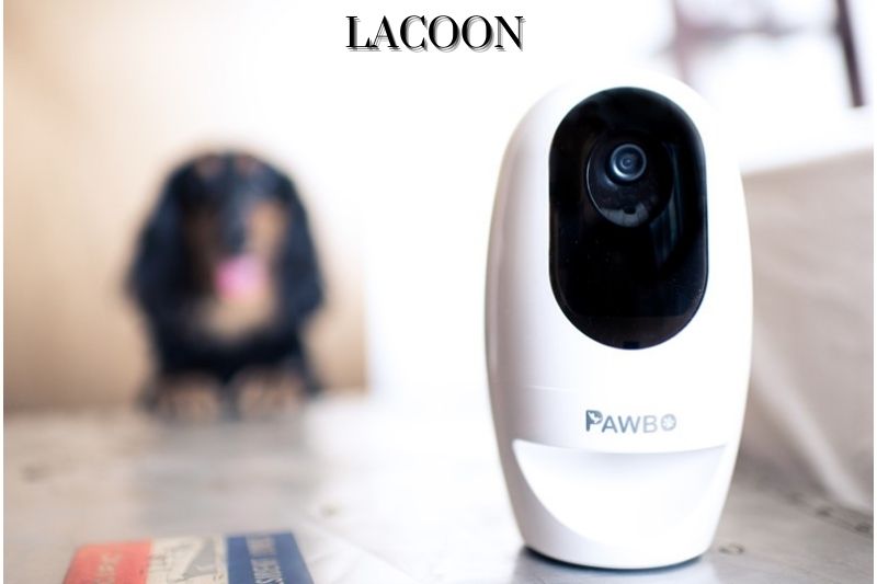 Pawbo Life Pet Camera Overview