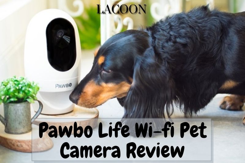 Pawbo Life Wi-fi Pet Camera Review 2022: Is It Worth It?