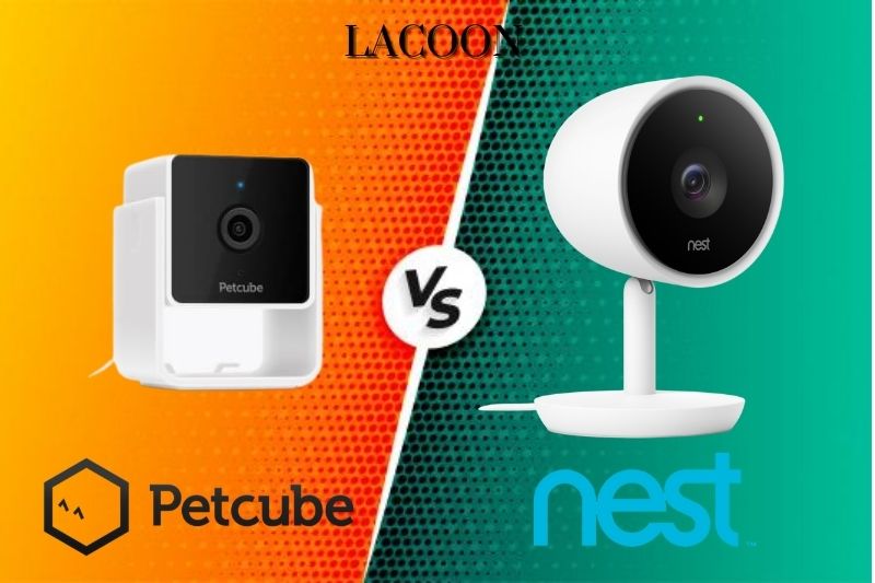 Petcube Vs Nest Cam: Which Is The Best Choice 2022?