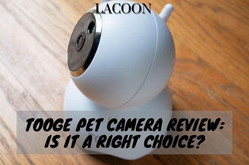 Tooge Pet Camera Review 2022: Is It A Right Choice?