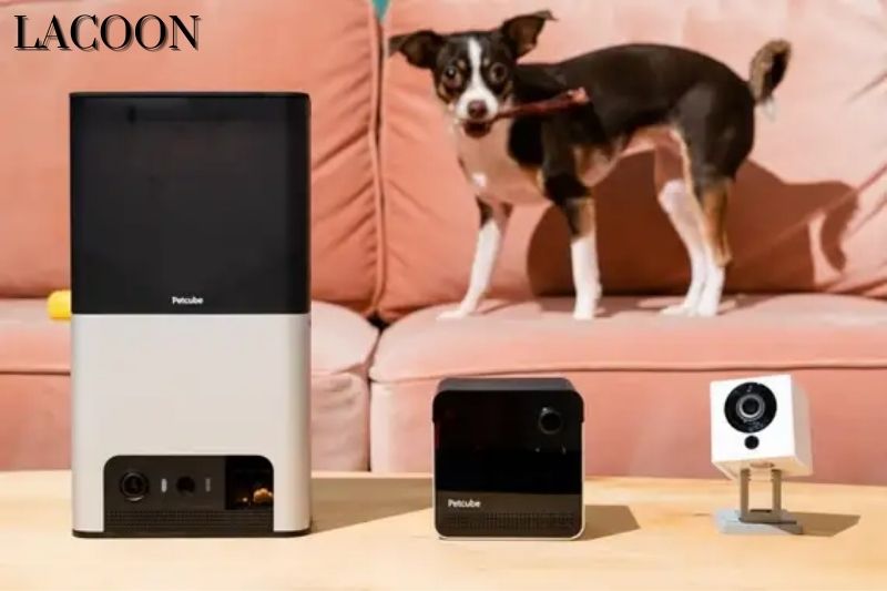 Top Rated 10 Best Indoor Camera For Pets