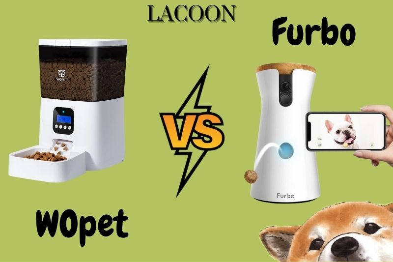 Wopet Vs Furbo: Which One Is The Best Pet Camera 2022?