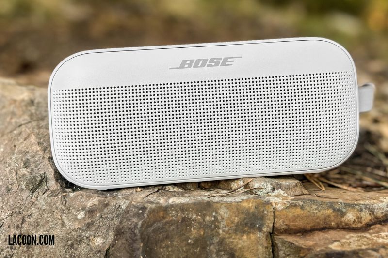 Bose Soundlink Flex Cost and Availability