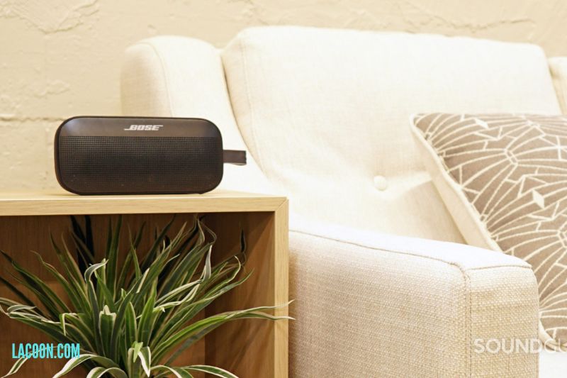 How Do You Pair The Bose SoundLink Flex And Use The Bose Connect App?