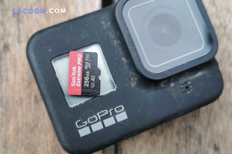SanDisk SD and microSD cards