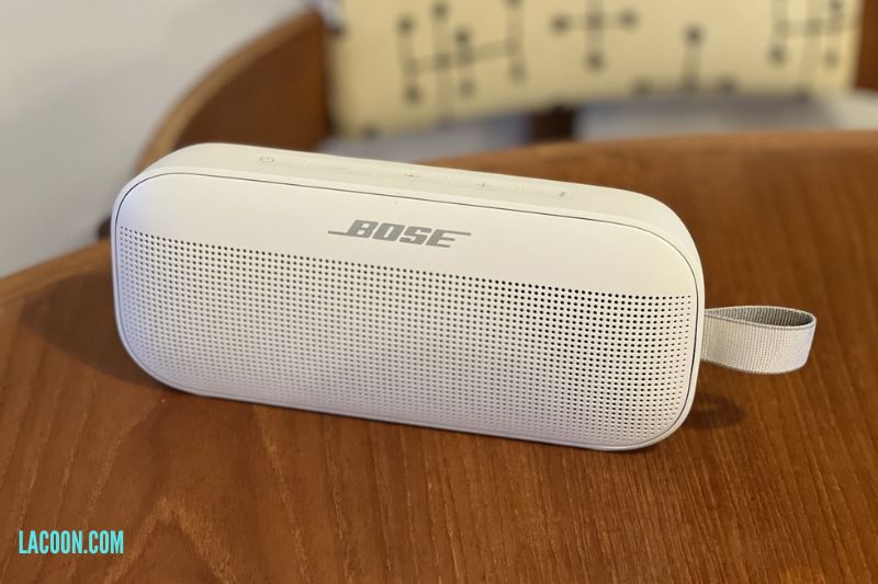 What Bluetooth Codecs Does The Bose SoundLink Flex Support?