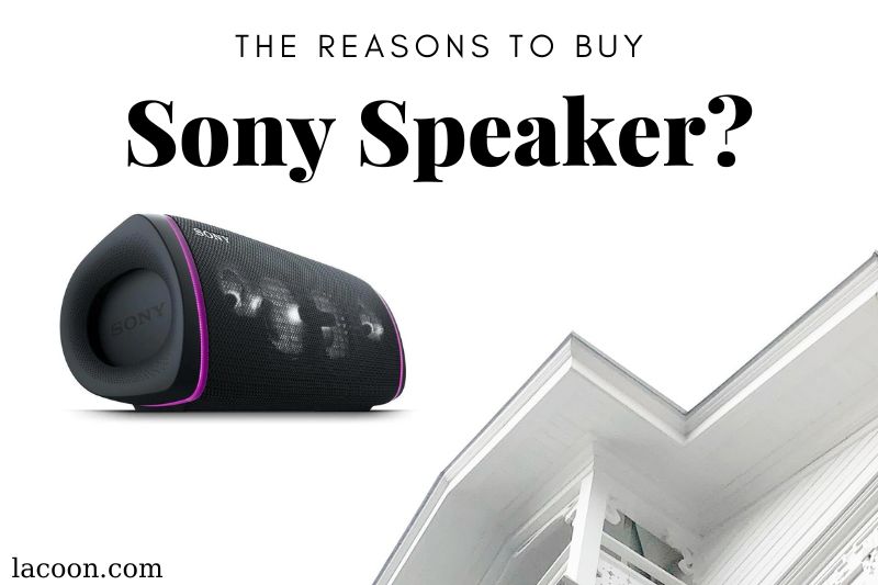 Why buy Sony Speaker this Black Friday?