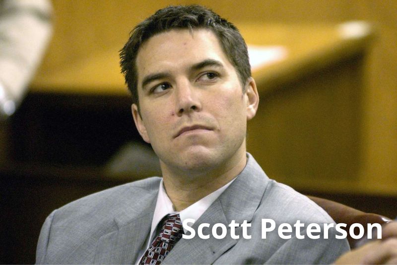 What did Scott Peterson do after wife Laci disappeared