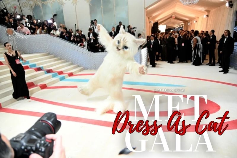 Behind The Costumes Who Dressed Up as a Cat At The Met Gala - New Info 2023