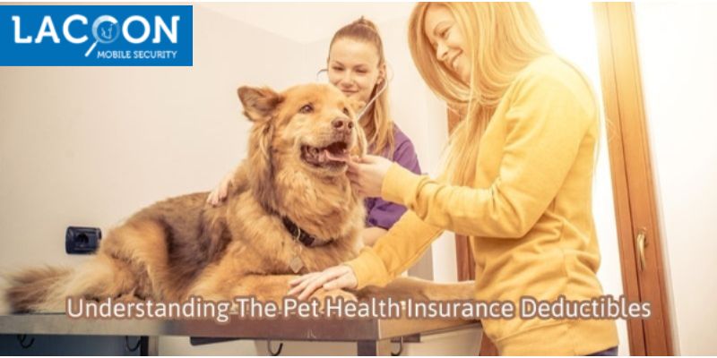Understanding The Pet Health Insurance Deductibles