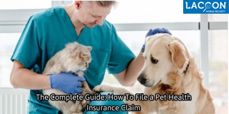 The Complete Guide: How To File a Pet Health Insurance Claim