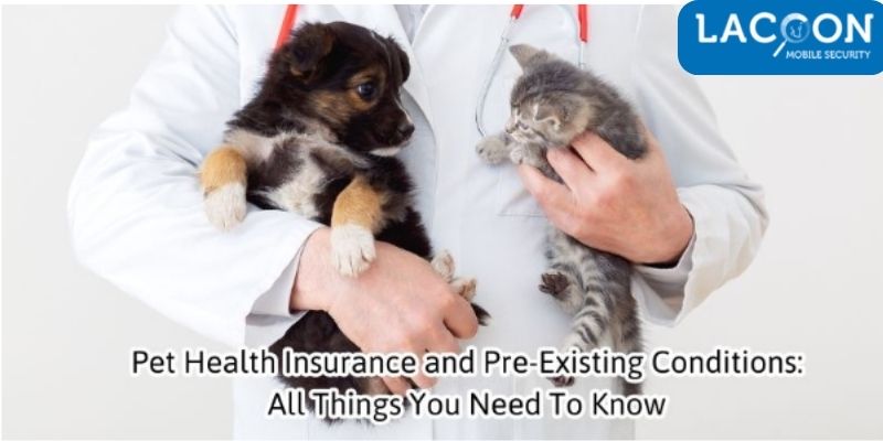Pet Health Insurance and Pre-Existing Conditions: All Things You Need To Know