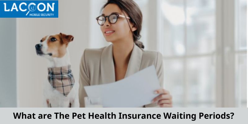 What are The Pet Health Insurance Waiting Periods?